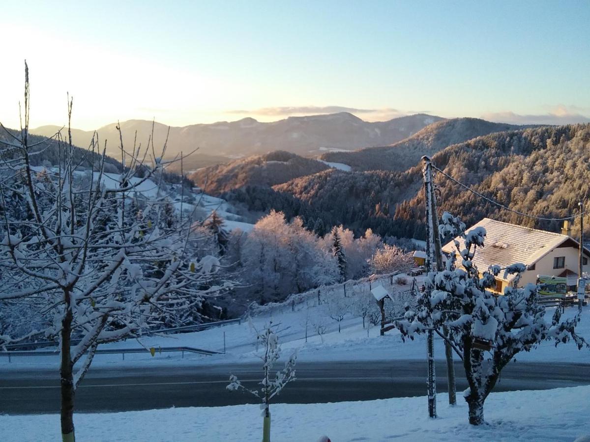 Apartment Jorsi With Mountain View Zrece Exterior photo