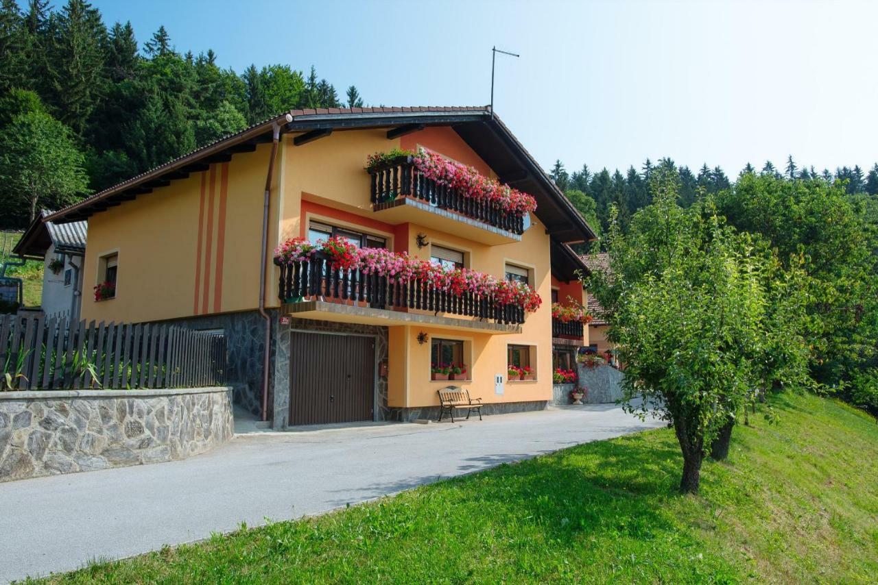 Apartment Jorsi With Mountain View Zrece Exterior photo