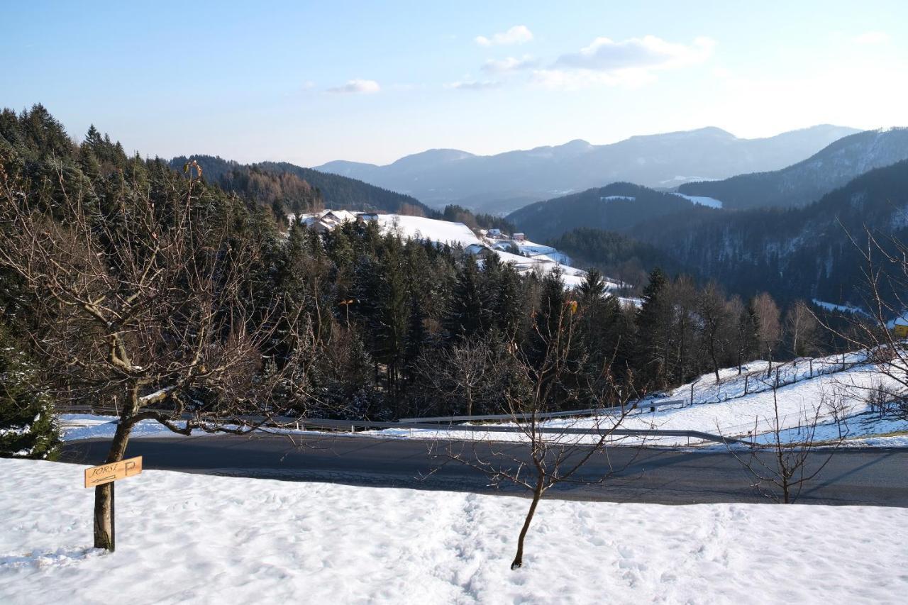 Apartment Jorsi With Mountain View Zrece Exterior photo